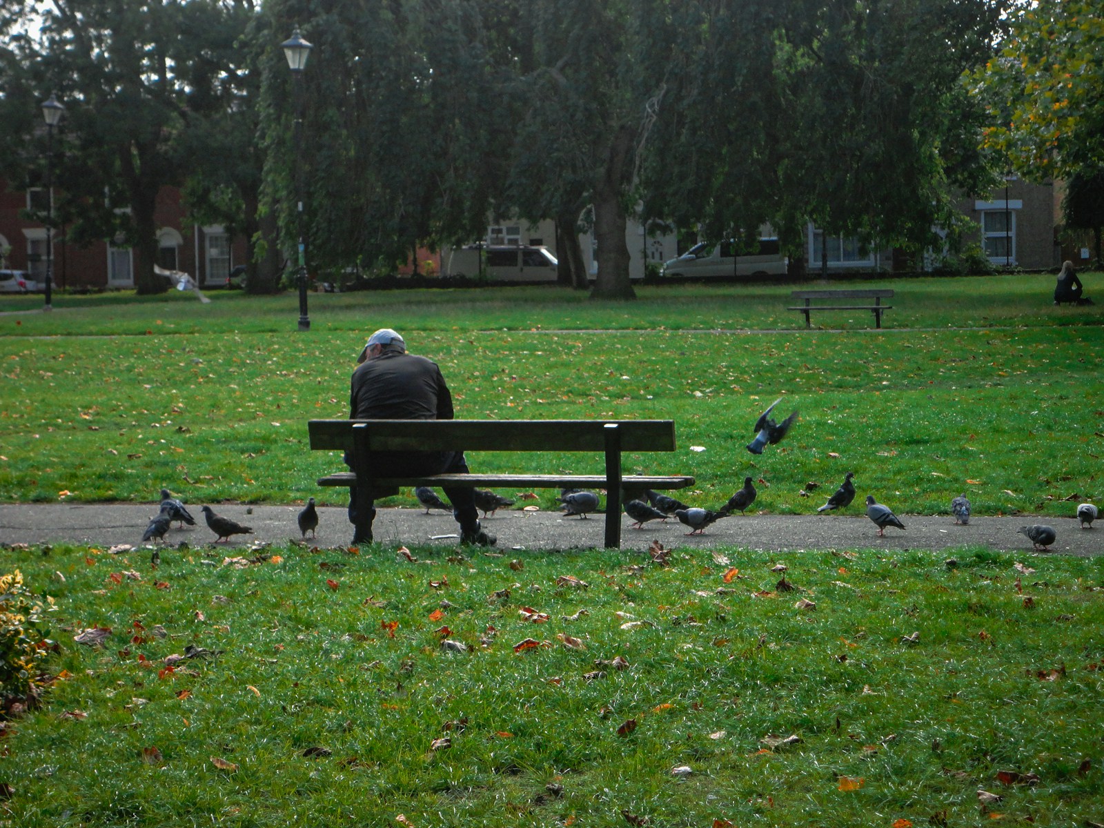 Person sitting on park bench with pigeons around.