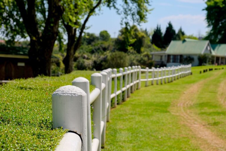 Serene countryside view featuring a white fence and lush greenery under a clear sky.