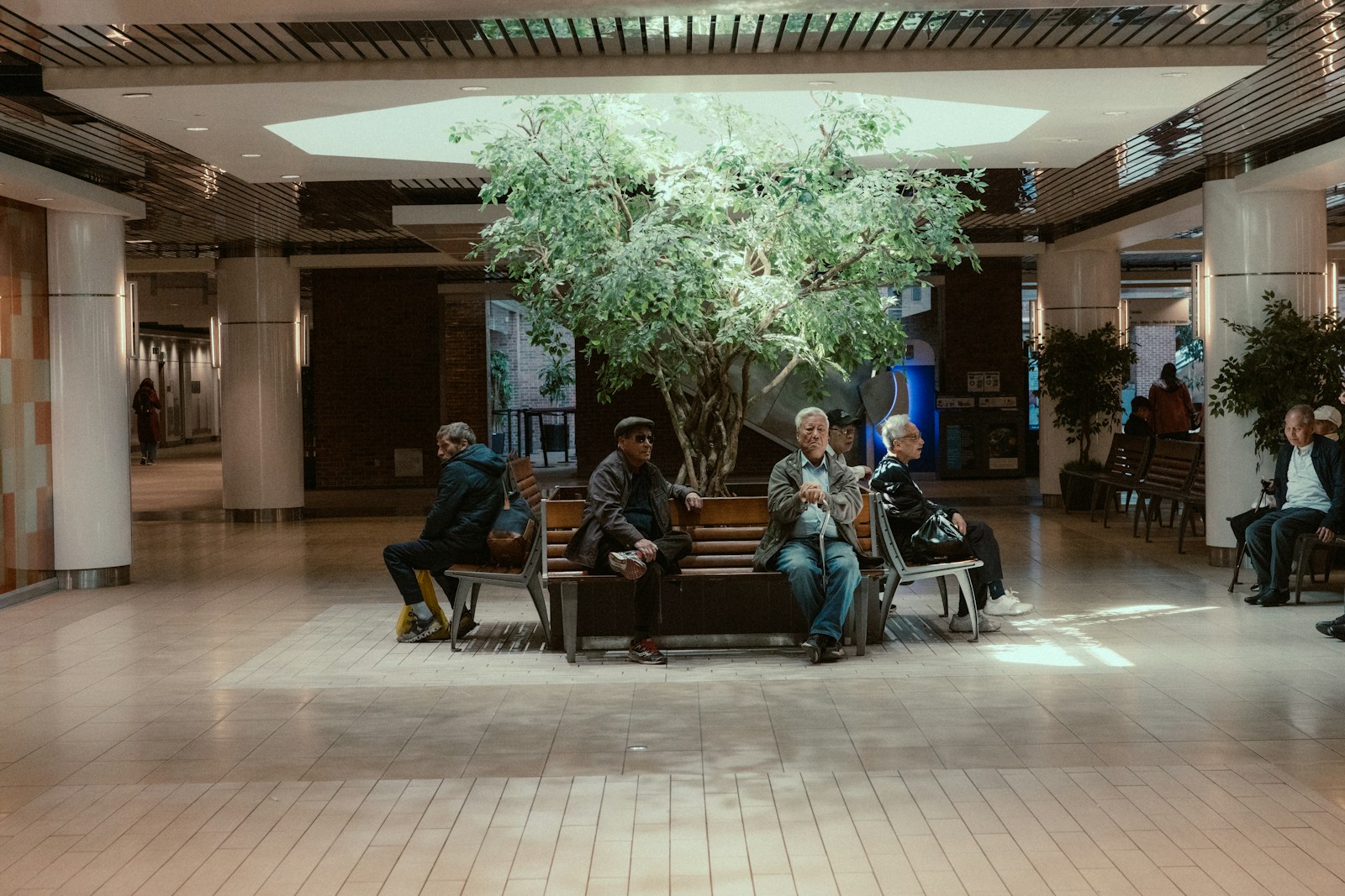 People sitting on benches around a large indoor tree.