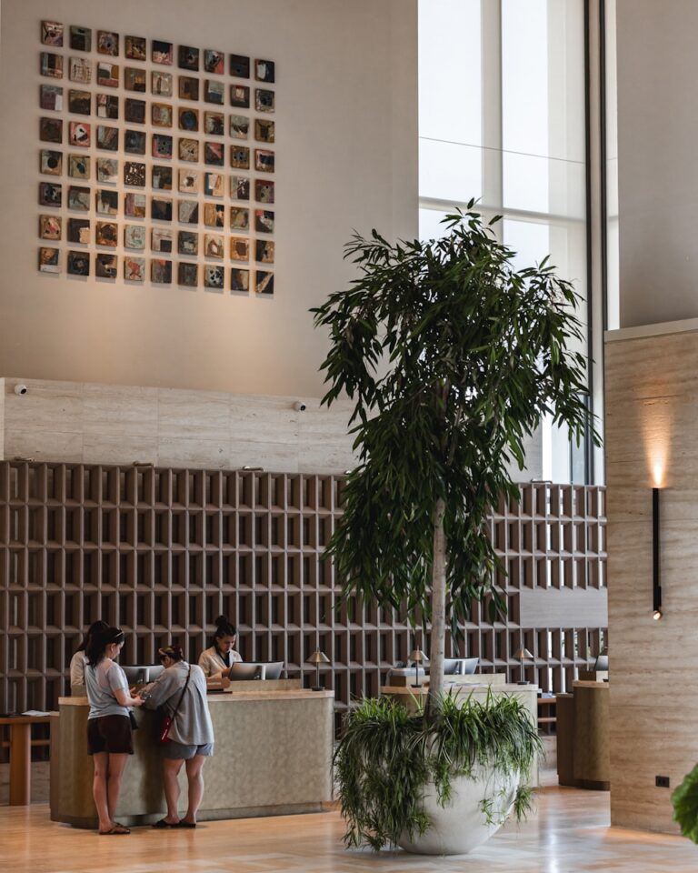 Modern hotel lobby reception with guests, tree, and wall art.