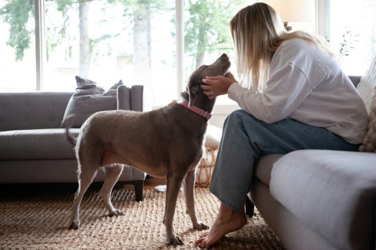 Woman pets her dog inside a home.