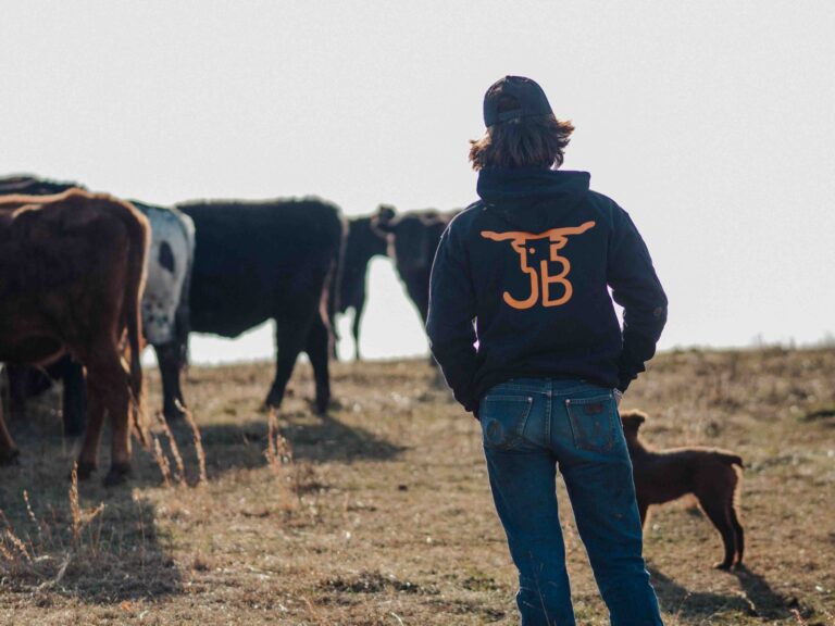 Individual in hoodie observing cattle and dog in rural field setting.