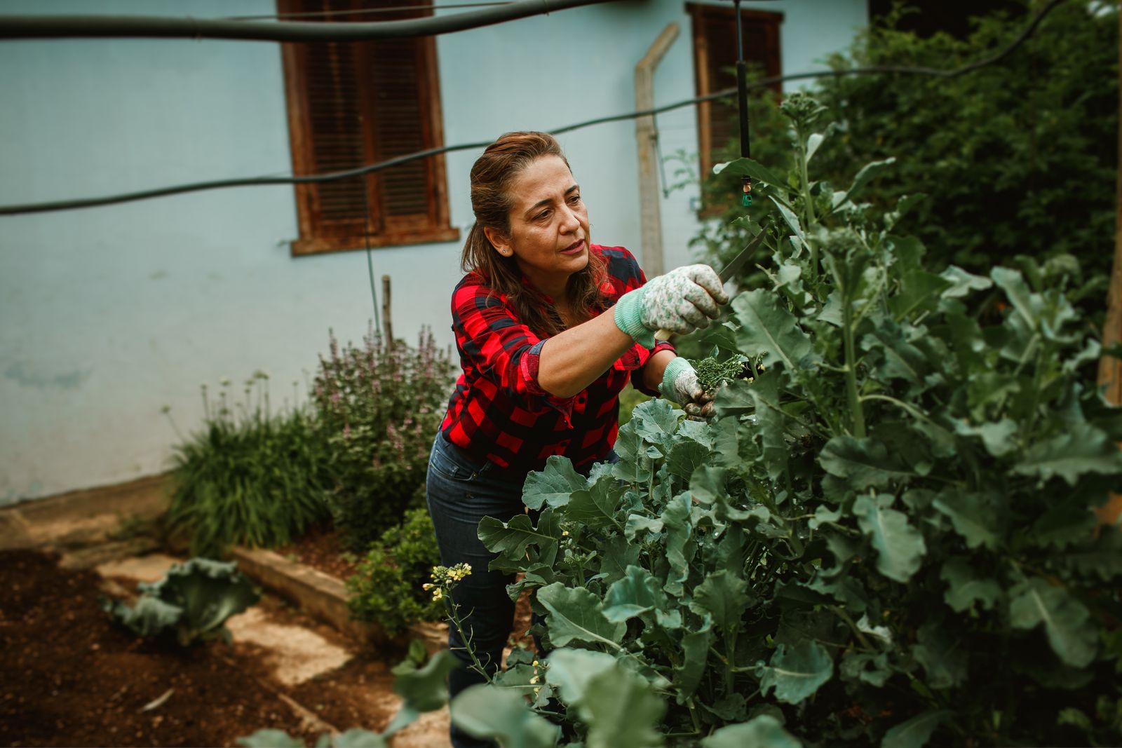 A woman tending to vegetable plants in a lush outdoor garden, wearing gloves.