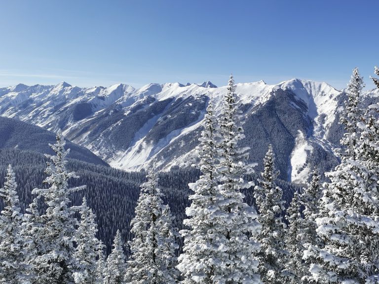Breathtaking view of snow-covered mountains in Aspen, Colorado, featuring frosted pine trees.