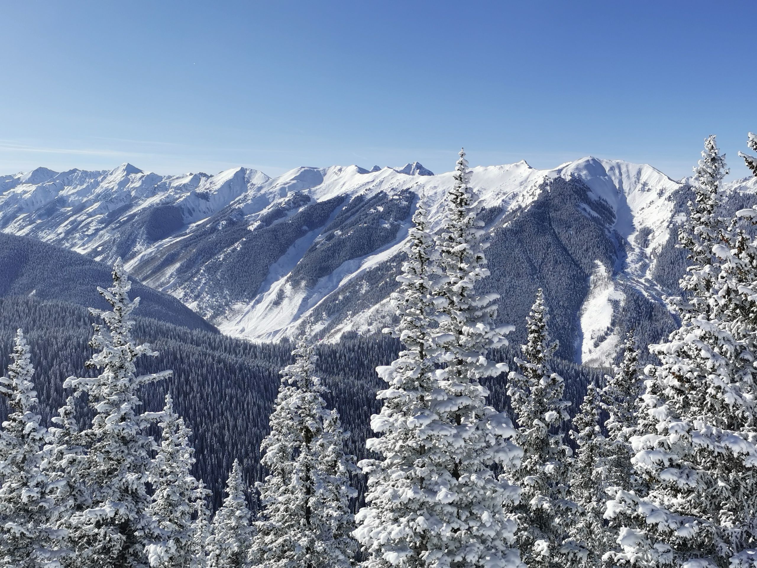 Breathtaking view of snow-covered mountains in Aspen, Colorado, featuring frosted pine trees.