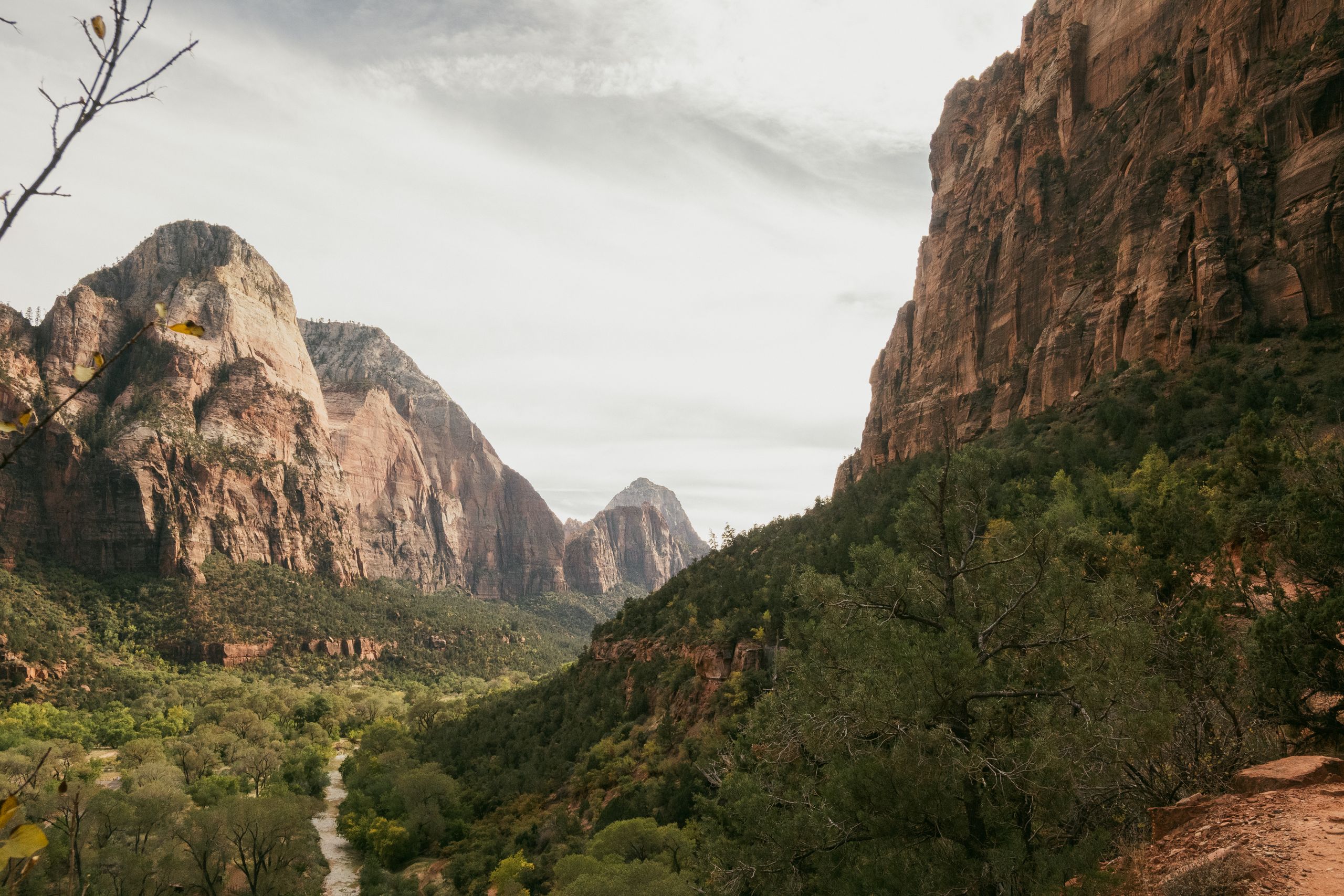 Breathtaking view of Zion National Park's towering cliffs and lush valleys in Utah.