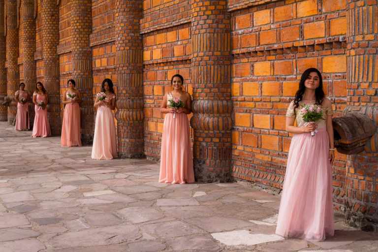 Bridesmaids in pink dresses lined up against a brick wall holding bouquets, creating a classic portrait.