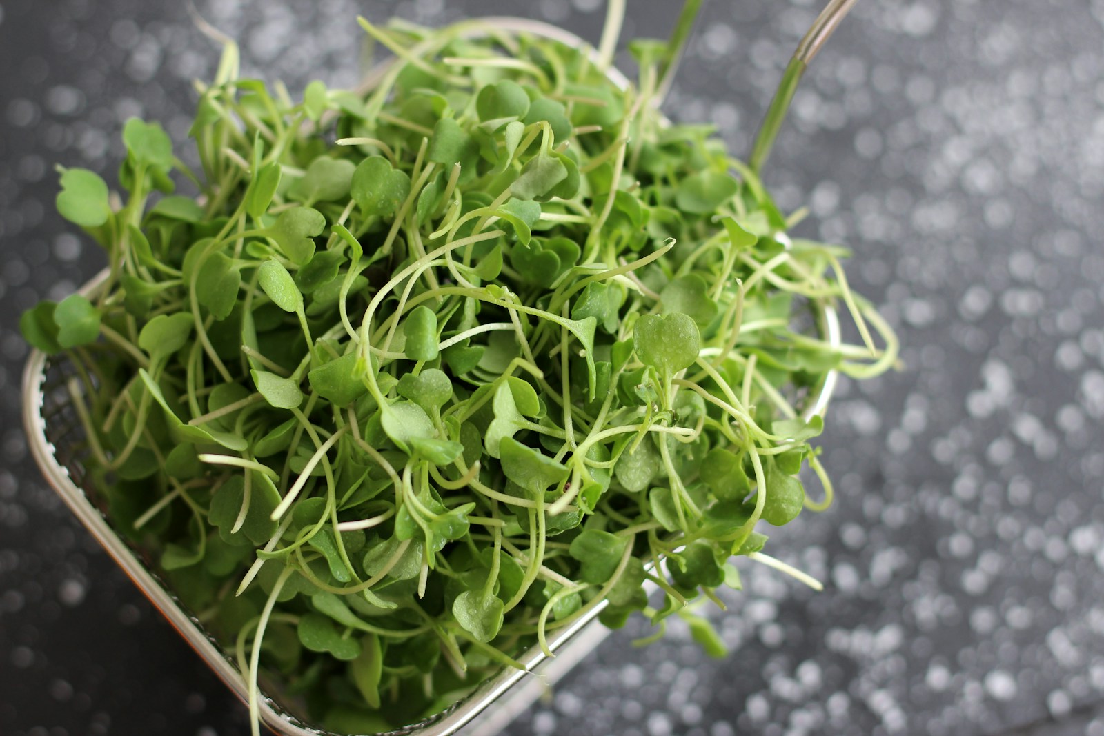 a bowl filled with green sprouts on top of a table