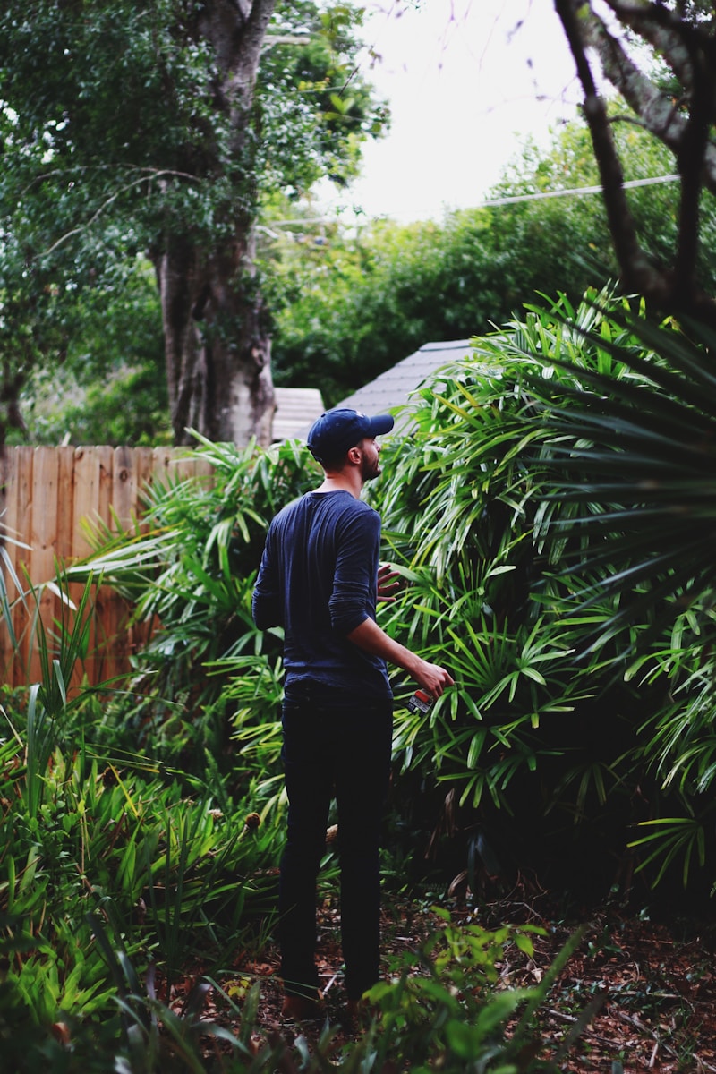 man wearing blue long-sleeved shirt standing beside green leafed plant