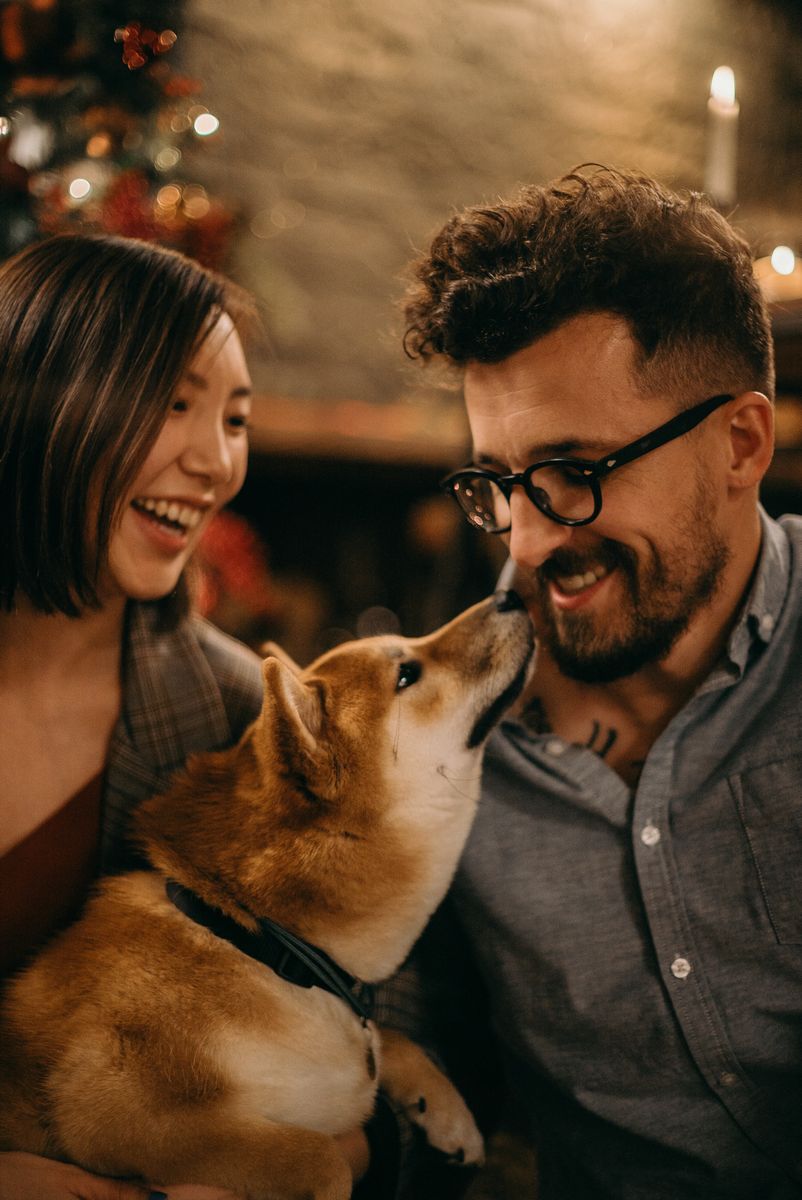 Smiling couple sharing a joyful moment with their Shiba Inu dog indoors.