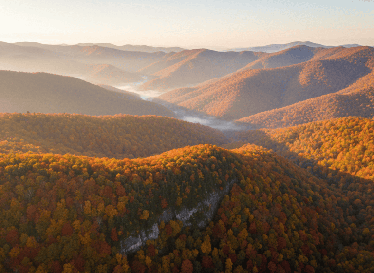 Aerial view of a mountain forest in full autumn color with layered ridgelines