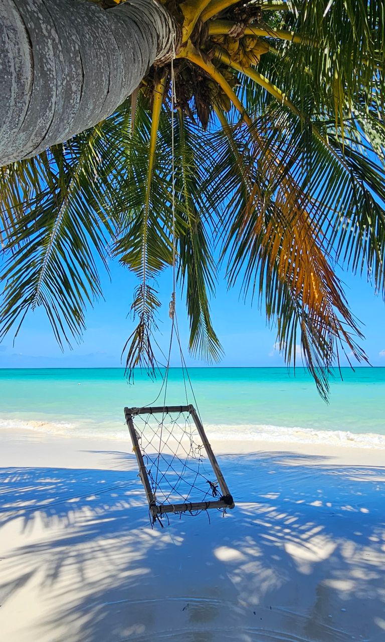 A serene beach scene with a swing hanging from a palm tree, inviting relaxation.