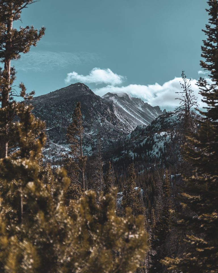 Breathtaking view of snow-covered Rockies and forests in CO, USA.