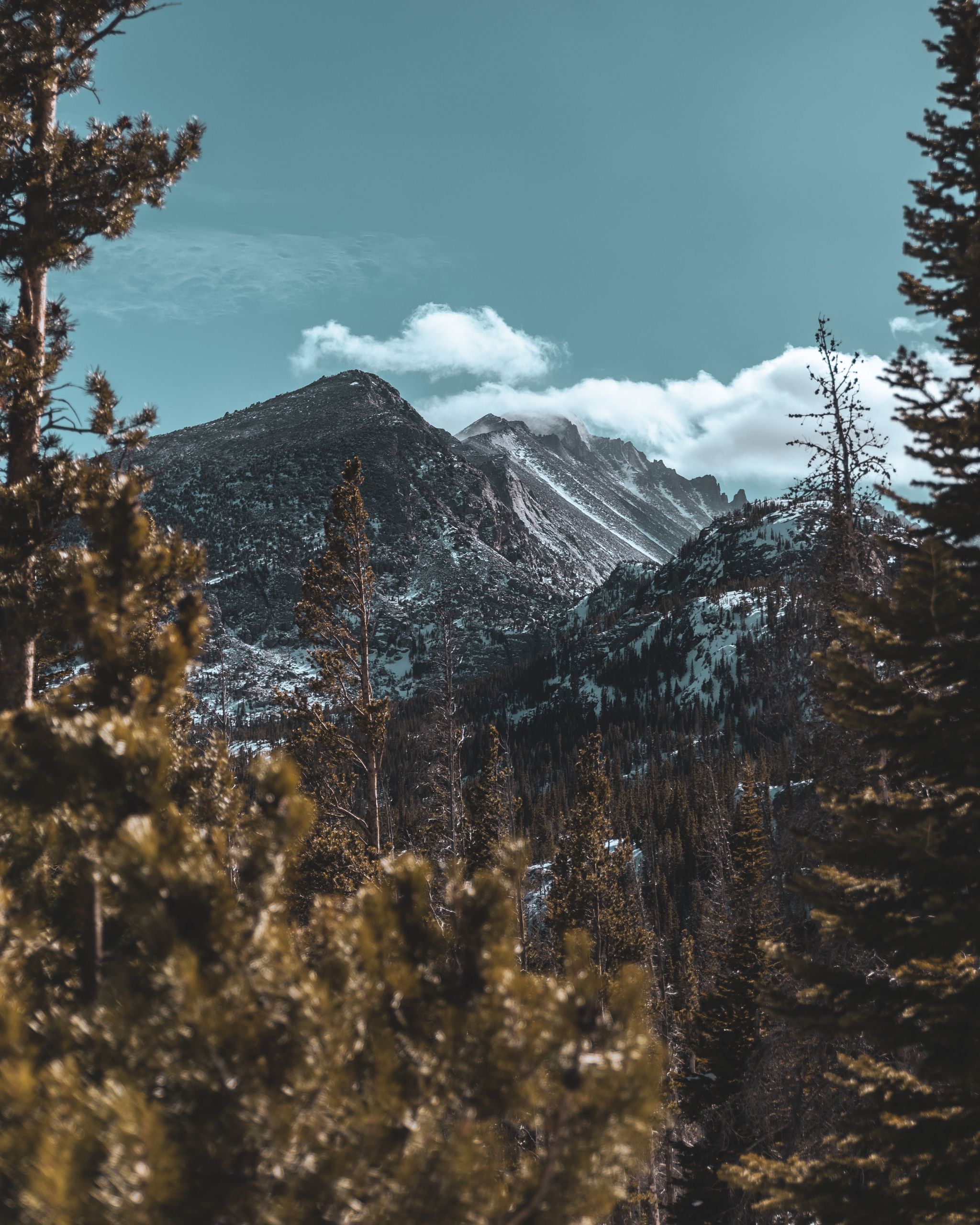 Breathtaking view of snow-covered Rockies and forests in CO, USA.