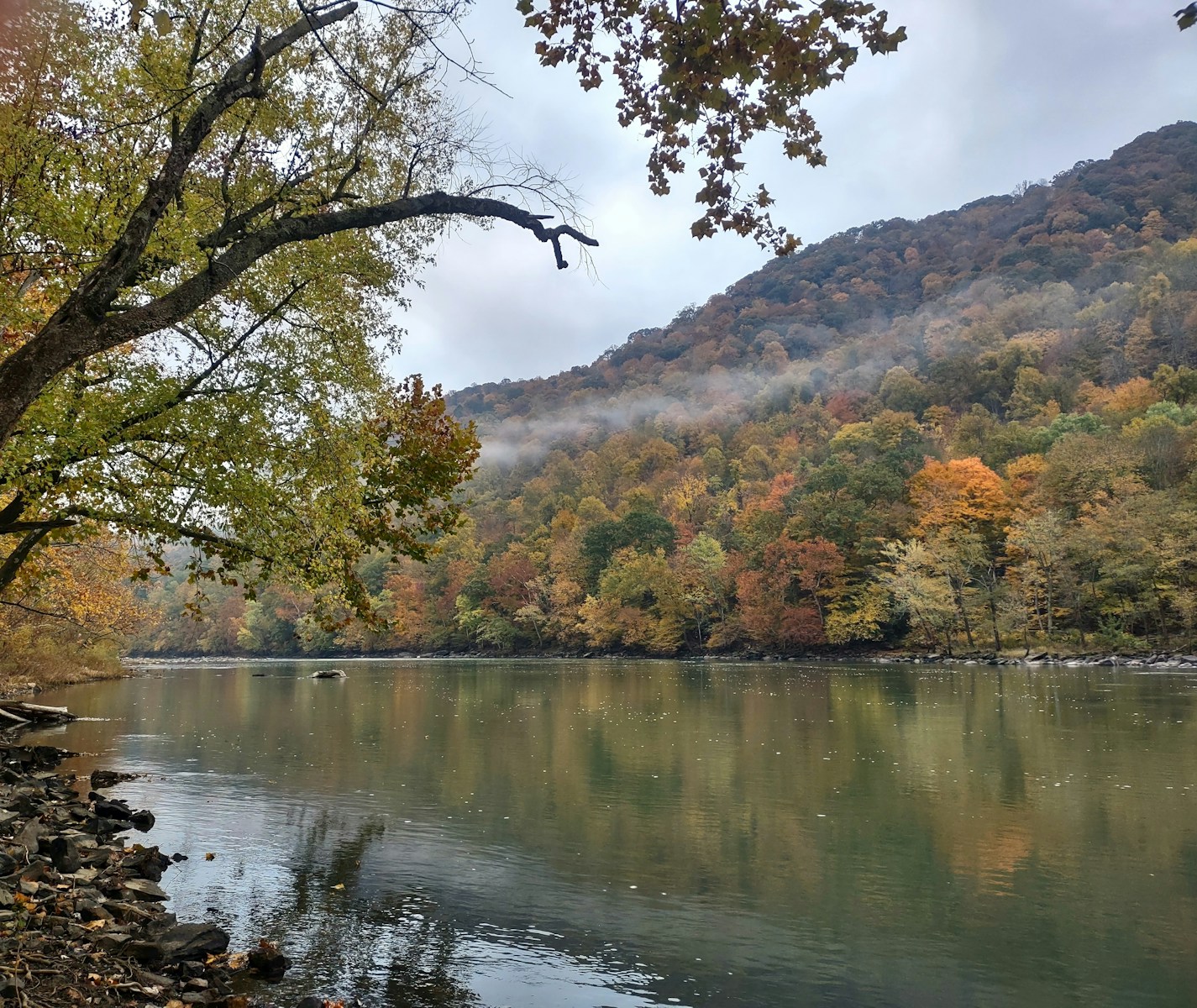 A body of water surrounded by a forest