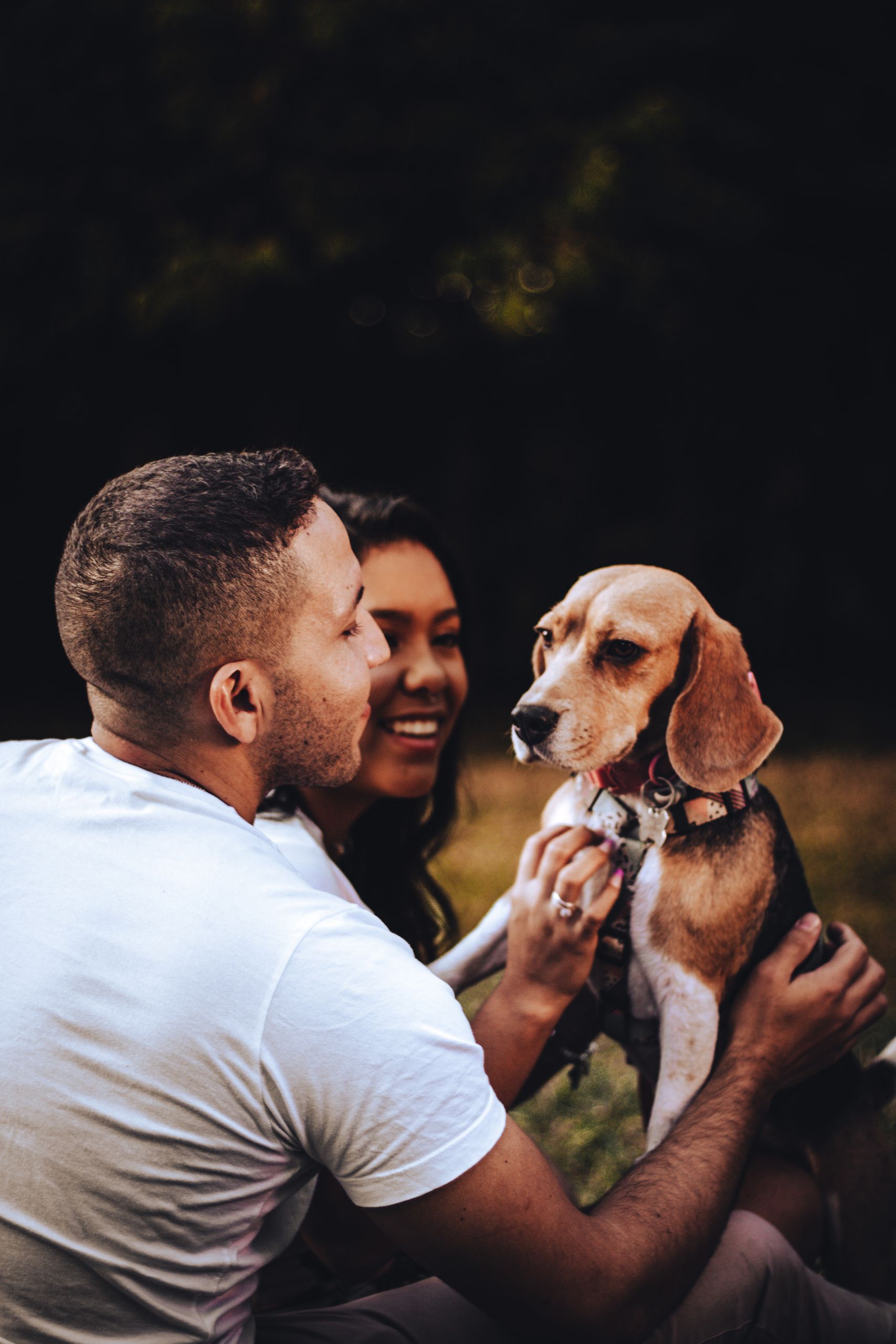 Joyful moment of a couple enjoying time with their beagle in the park.