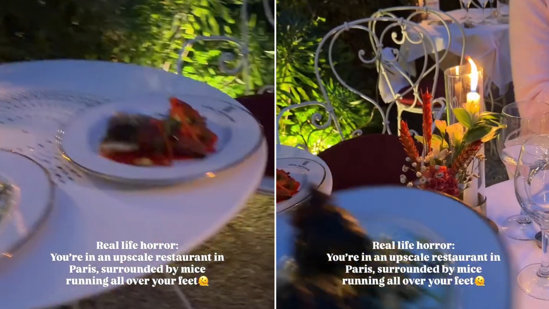 Two frames from the Instagram reel: left, a plated dish on a white tablecloth in the restaurant garden; right, the candlelit table setting, both with the caption Real life horror: you're in an upscale restaurant in Paris surrounded by mice running all over your feet