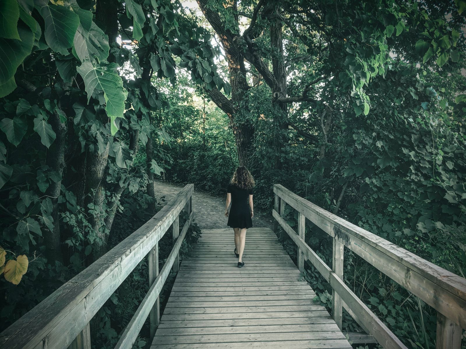A woman in a black dress walks along a wooden footbridge in a lush green forest.