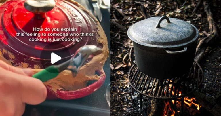 Braised dinner in a Dutch oven