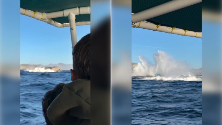 Two stills from an Instagram reel by @danny_mako.