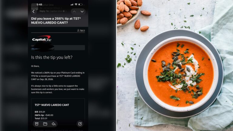 Left: cover still from a TikTok video by @yoadriennesellshomes. Right: a bowl of tomato soup with herbs (Unsplash photo by Ella Olsson).