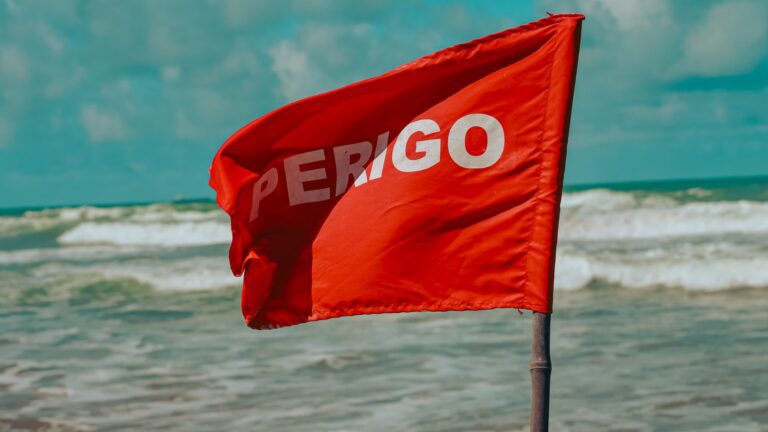 A red danger flag waving on a beach. Photo by Leoohigh on Pexels.