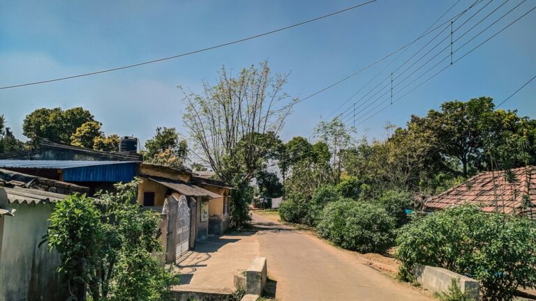 A dirt road with houses and trees. Photo by Sourajit Hazra on Unsplash.