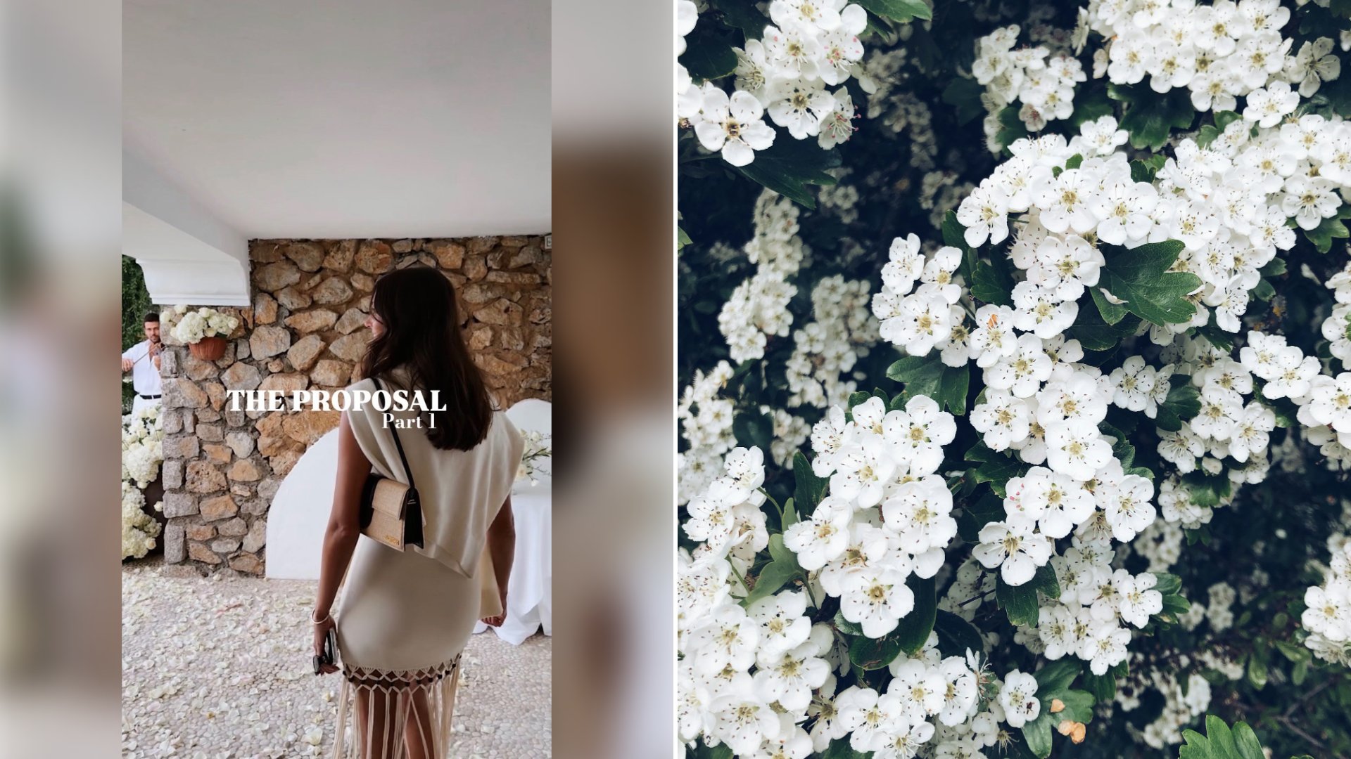 Left: cover still from an Instagram reel by @. Right: Close-up of white-petaled flowers (Unsplash photo by Angèle Kamp).