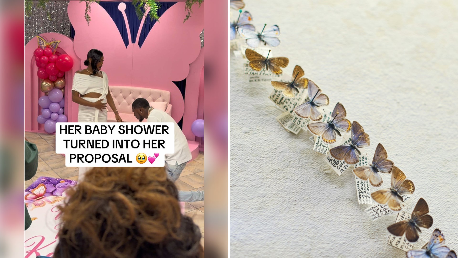 Left: cover still from a TikTok video by @theeerealburnell. Right: Brown butterfly decorations mounted on a wall (Unsplash photo by Aubrey Odom).