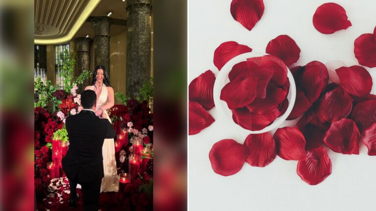 Left: cover still from a TikTok video by @yehthetash. Right: Red rose petals scattered on a white surface (Unsplash photo by Debby Hudson).