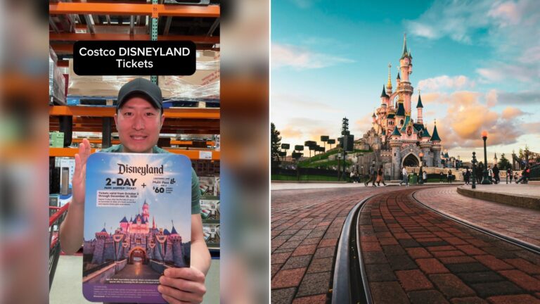 Left: cover still from a TikTok video by @@shophocho. Right: A fairytale castle at a theme park with people walking on a brick path (Unsplash photo by Bastien Nvs).