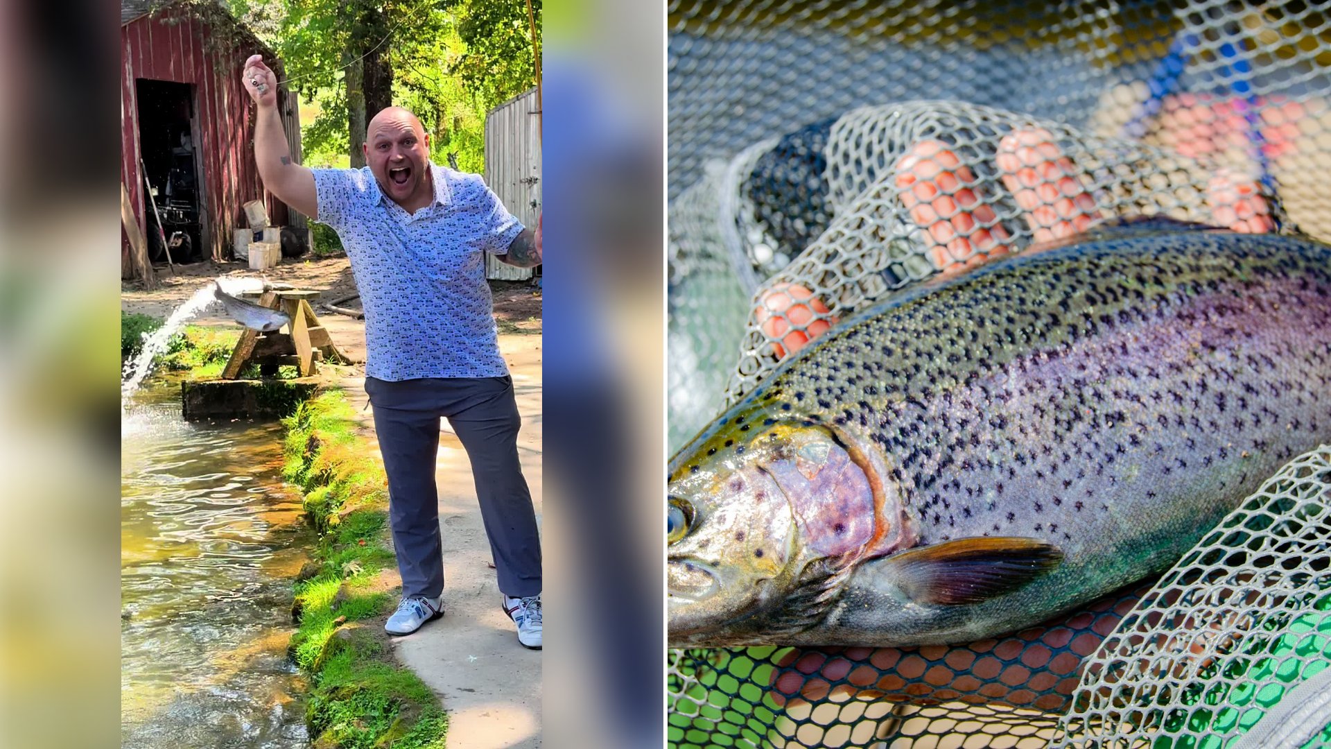 Left: cover still from a TikTok video by @@mcfli_guy. Right: A person holding a freshly caught gray and pink trout (Unsplash photo by Eugene Samarin).