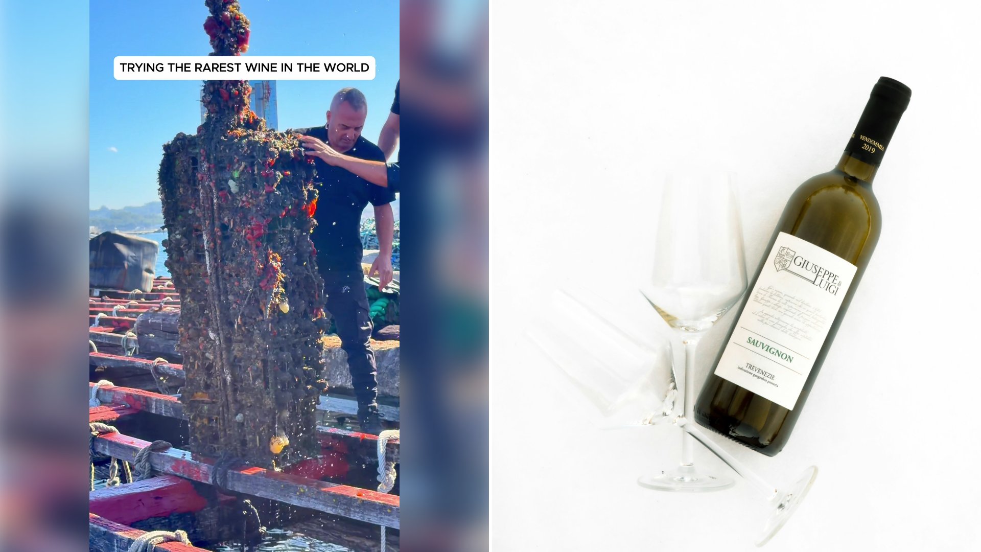 Left: cover still from a TikTok video by @@eatingwithtod. Right: A white wine bottle standing beside an empty wine glass on snow (Unsplash photo by Armands Brants).