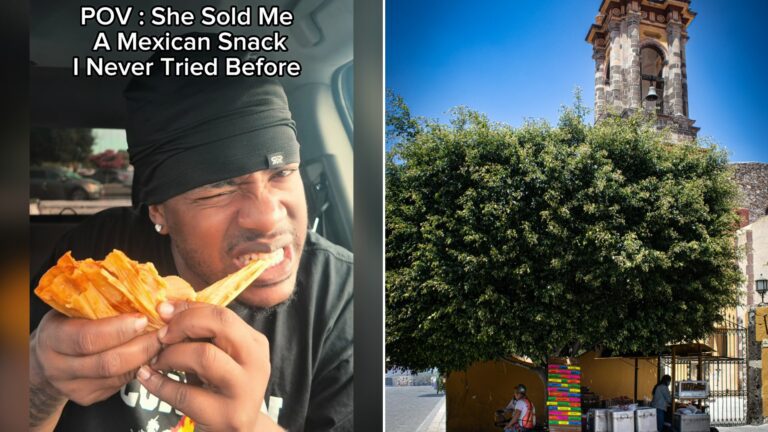 Split image with the cover of @drinkingwithrod's TikTok video, where he bites into a tamale under the words She Sold Me a Mexican Snack I Never Tried Before, on the left and an Unsplash photo by Ángel Nava on the right showing a street food cart in the shade of a large tree