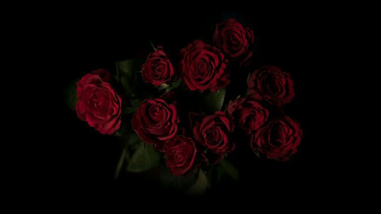 Unsplash photo by Alessio Soggetti showing a red rose flower arrangement