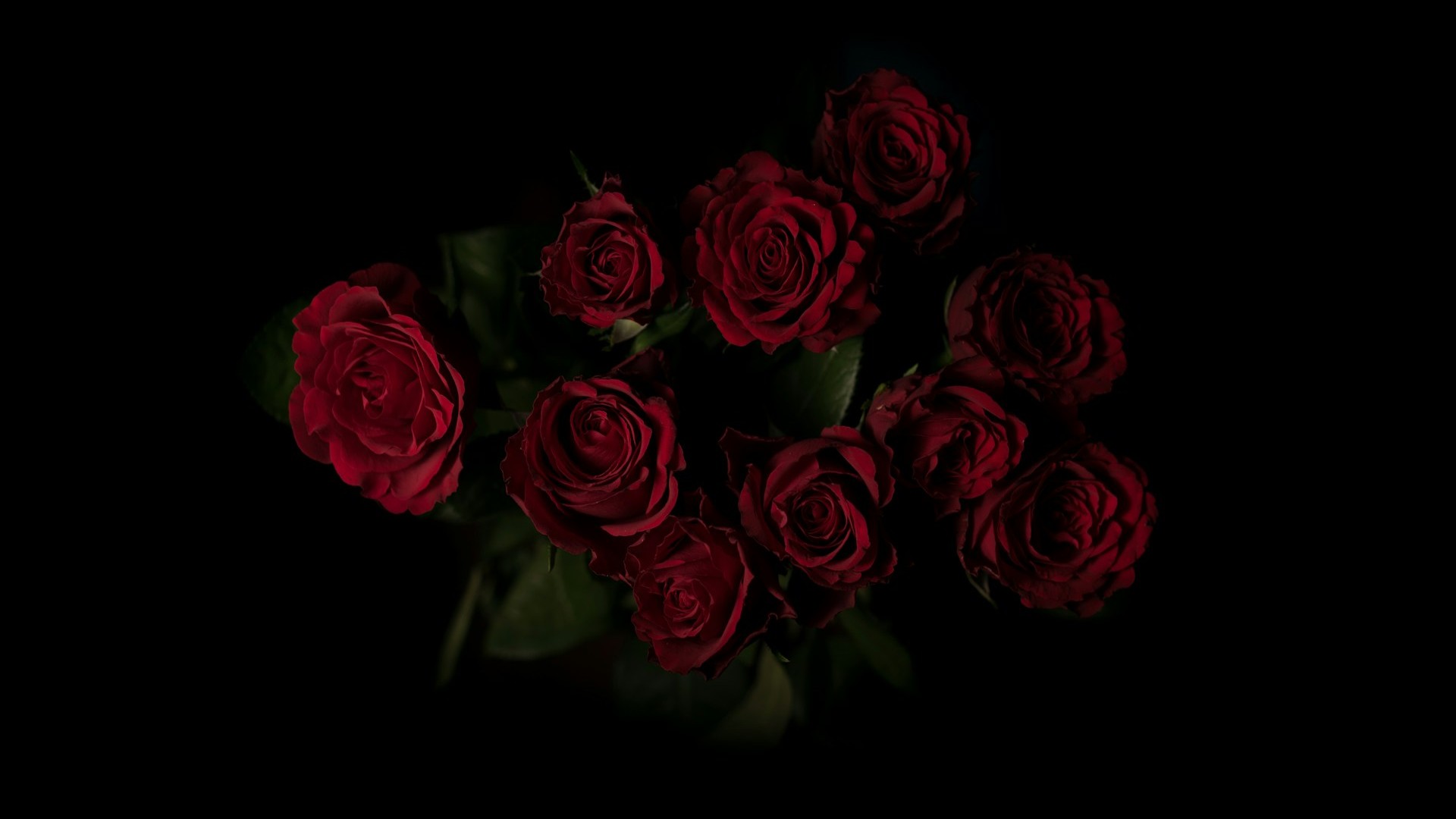 Unsplash photo by Alessio Soggetti showing a red rose flower arrangement