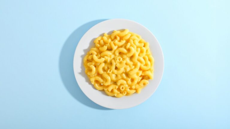Unsplash photo by Giorgio Trovato showing a plate of mac and cheese