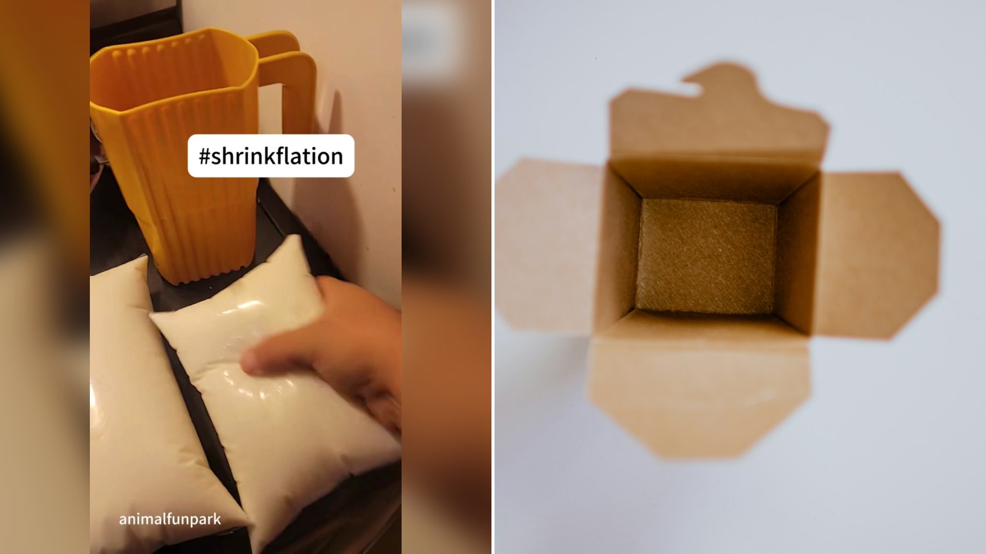 Cover of @animalfunpark's TikTok video beside an Unsplash photo by Kelly Sikkema of the inside of an empty brown takeout box