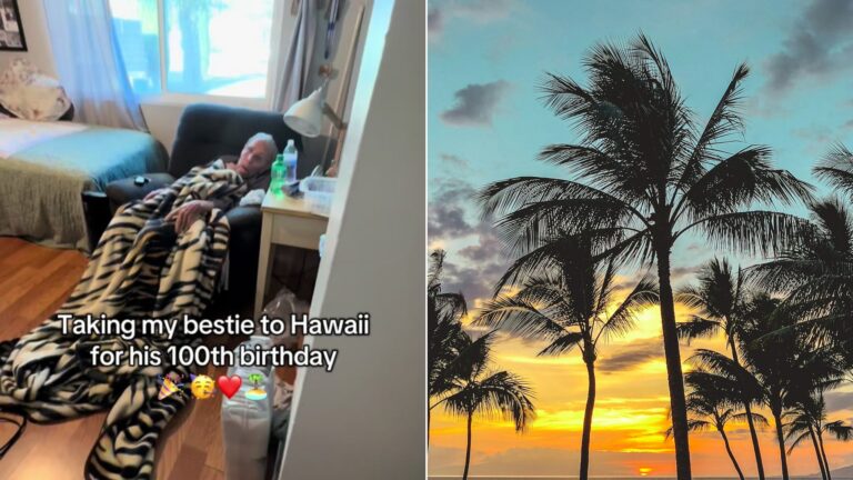 Cover of @isaiahgarza's TikTok video beside an Unsplash photo by Neora Aylon of palm trees facing the sea.