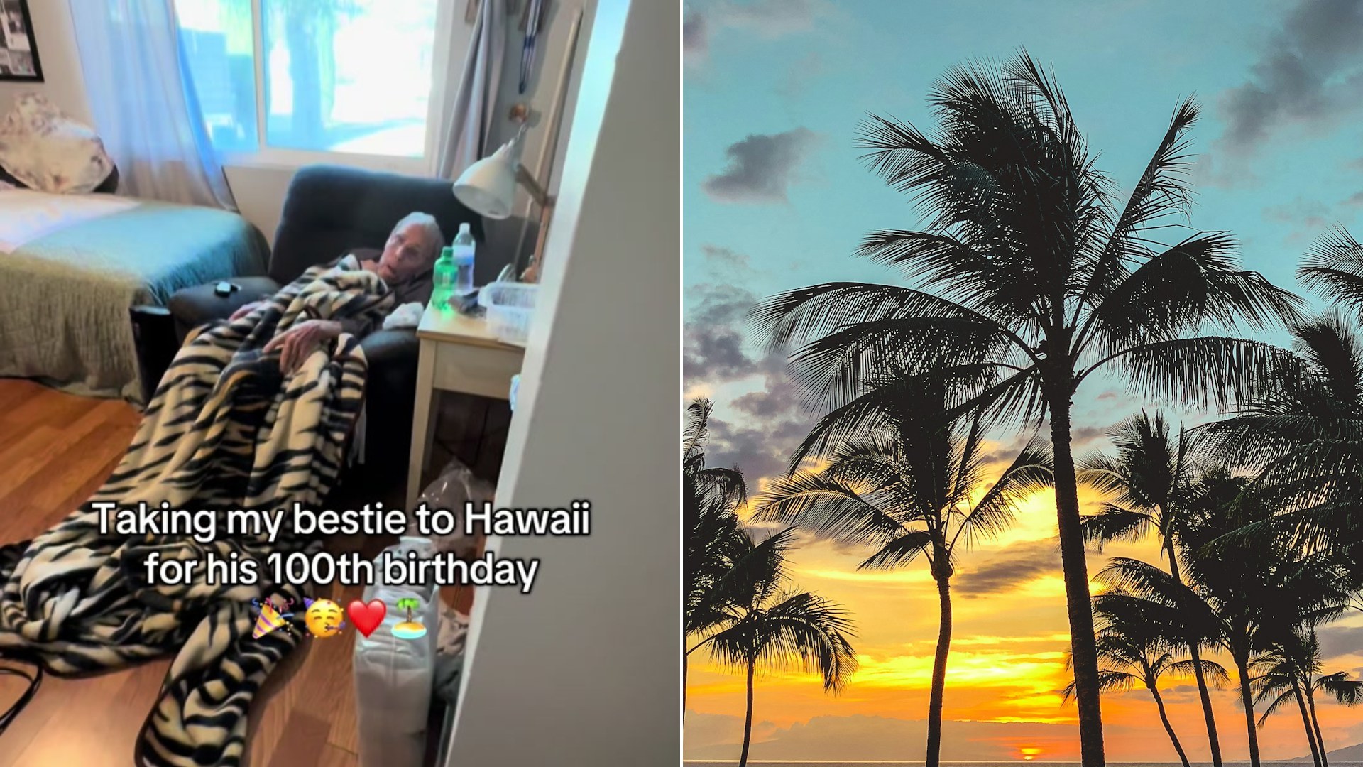 Cover of @isaiahgarza's TikTok video beside an Unsplash photo by Neora Aylon of palm trees facing the sea.